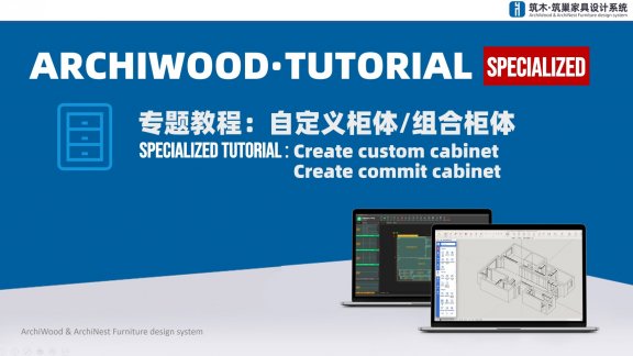 自定义柜体与组合柜体