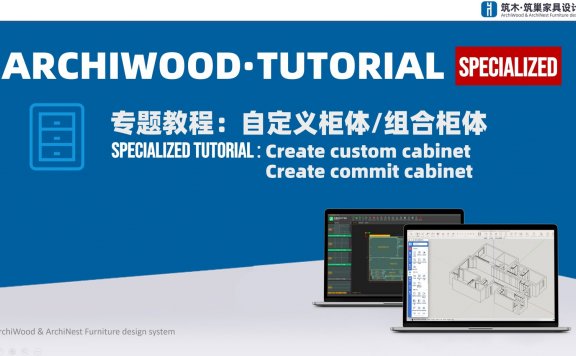 自定义柜体与组合柜体